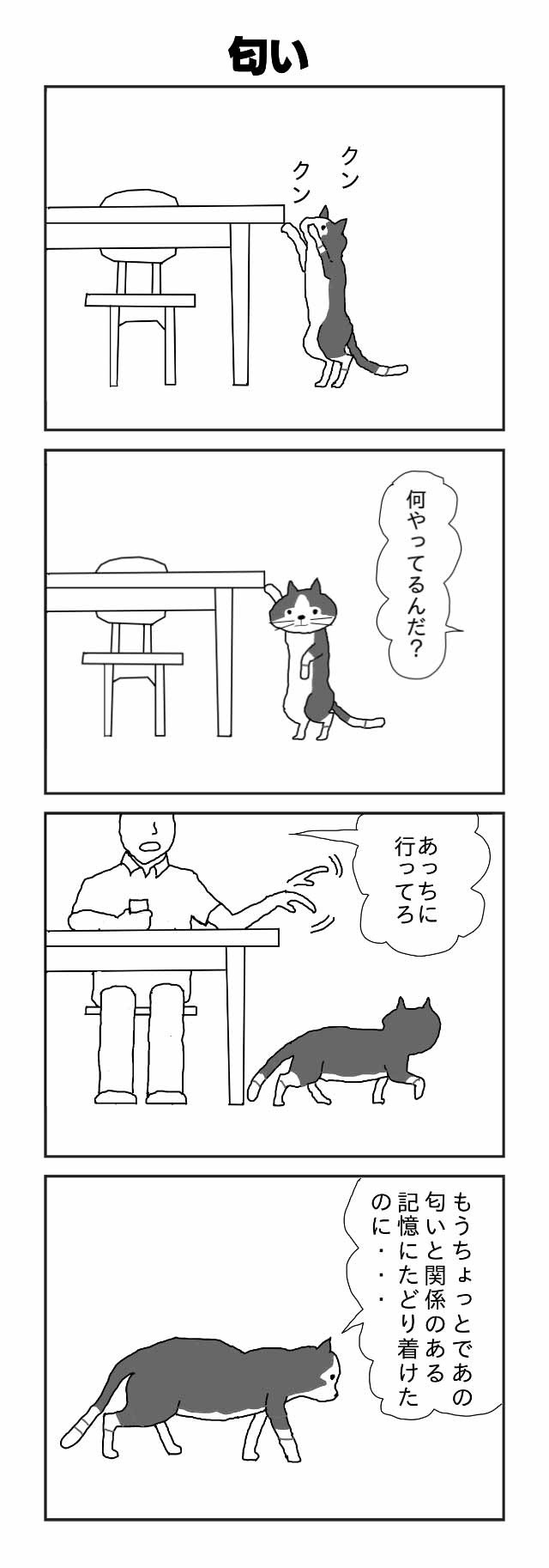 猫と生活