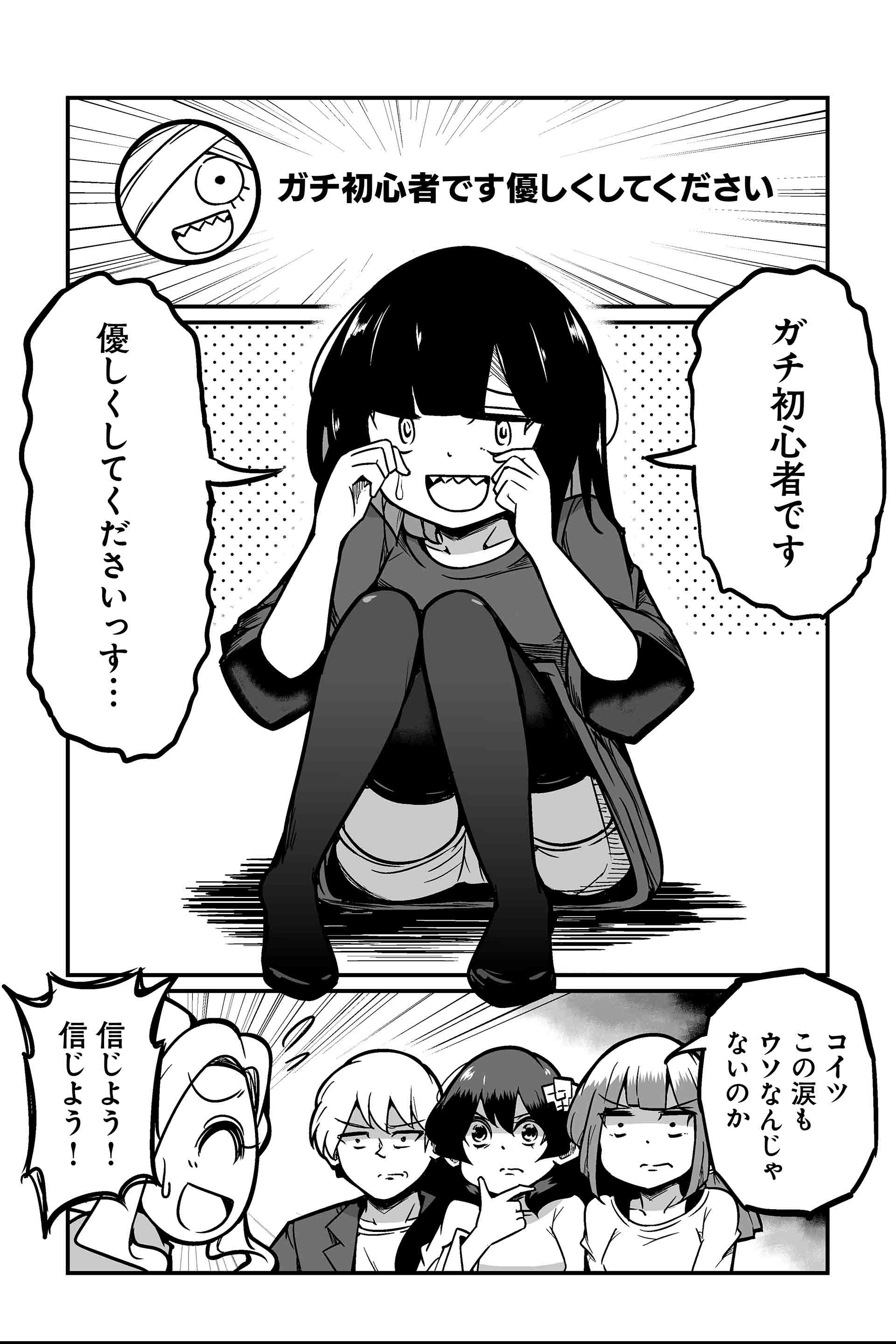 初心者が初心者だったためしがないし、素人質問が素人だったためしがない ２