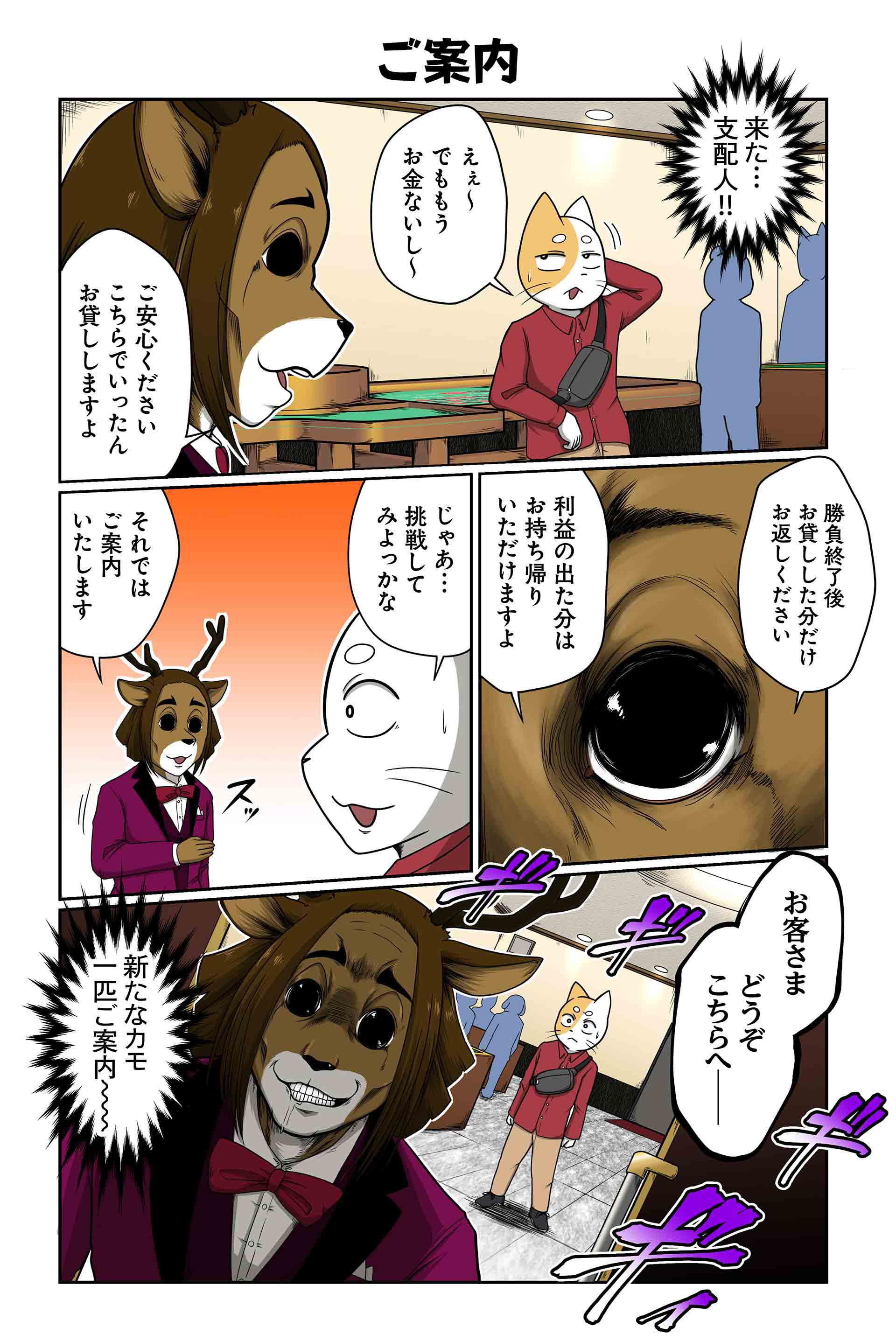 ご案内
