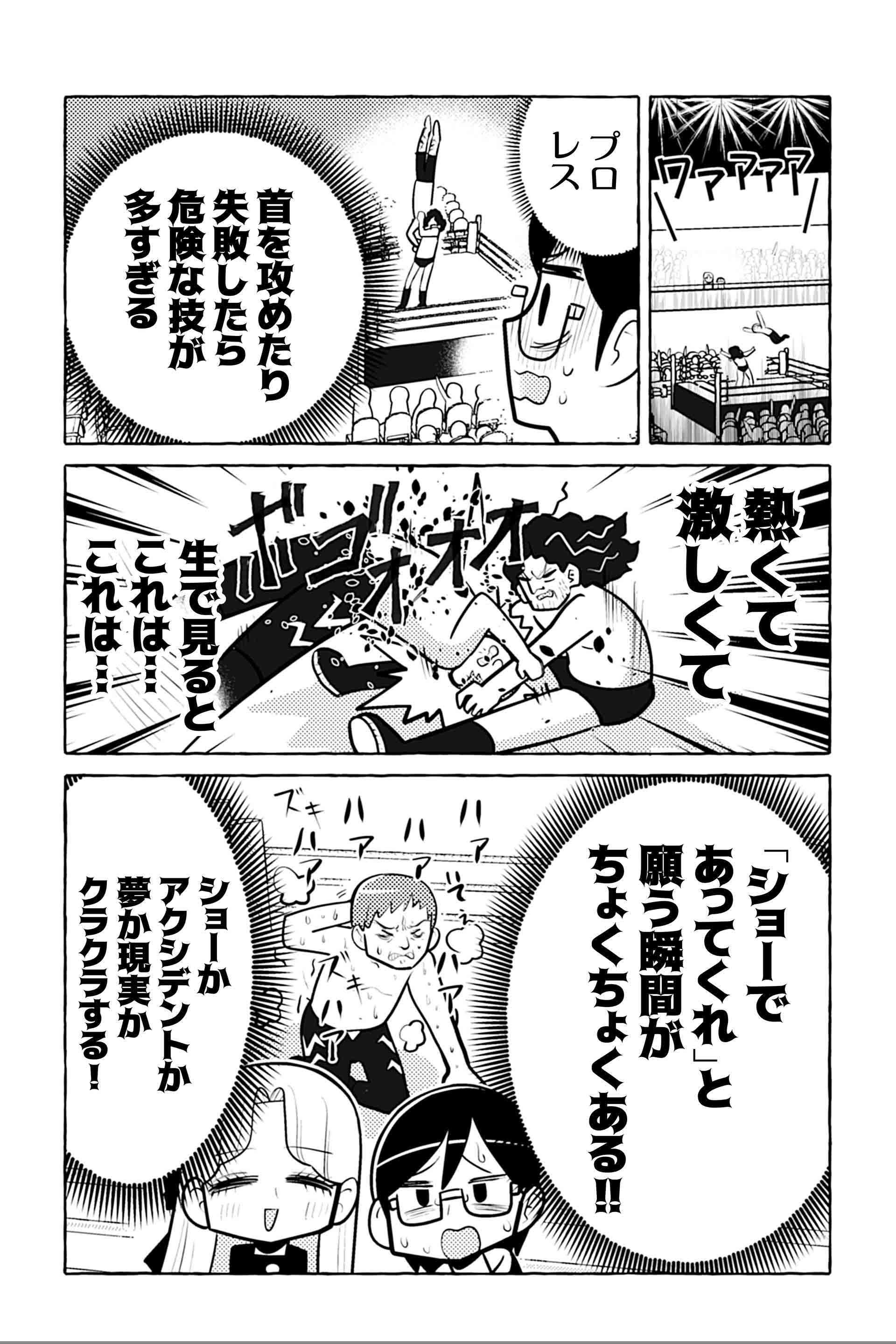 ニセ教養お姉さん プロレスへ行く④