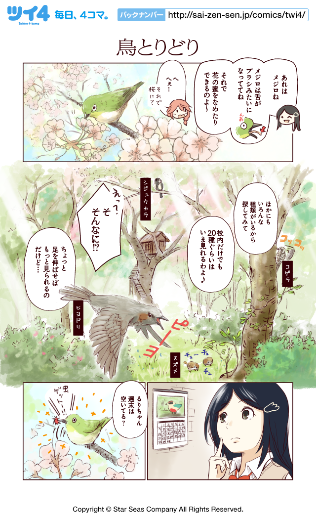 鳥とりどり 鳥見部の小鳥遊さん 一日一種 ツイ４ 最前線