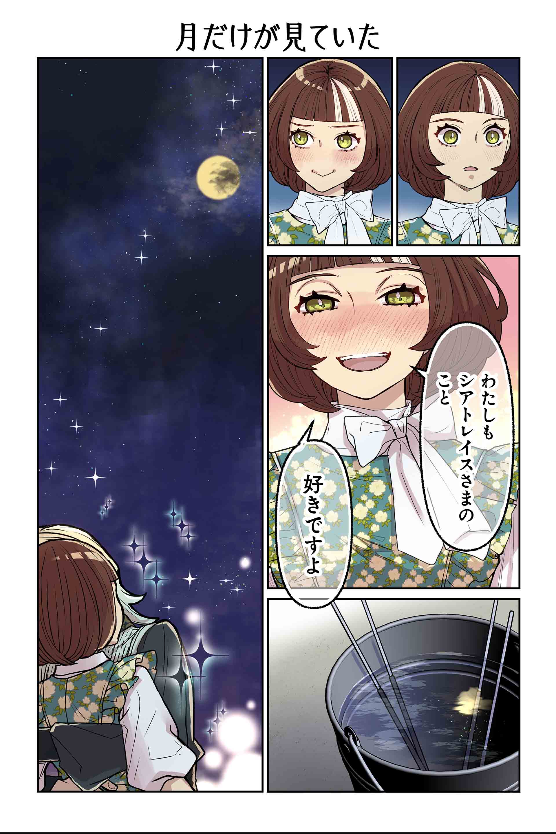 月だけが見ていた