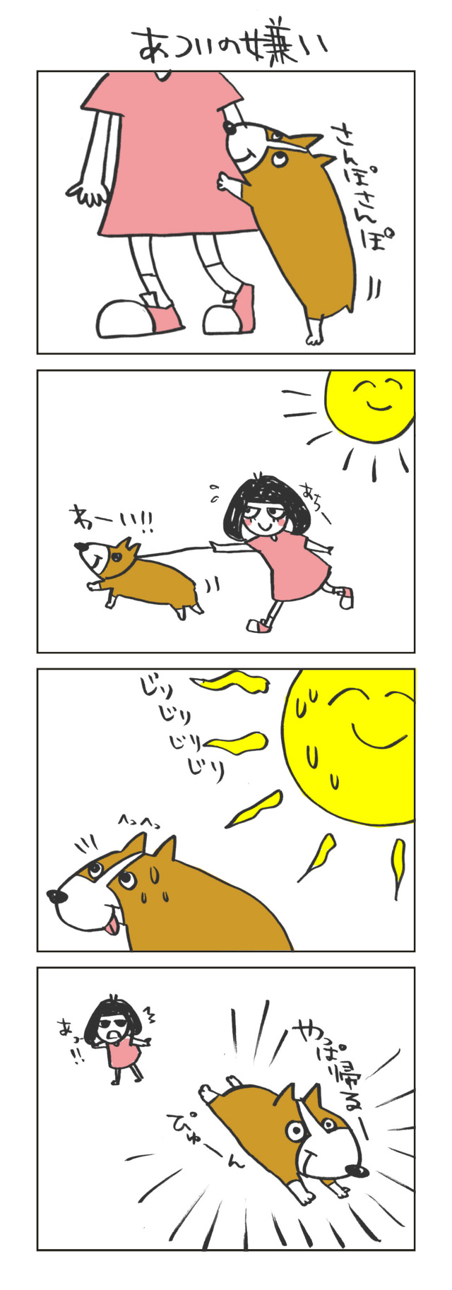 コーギーのサンさん