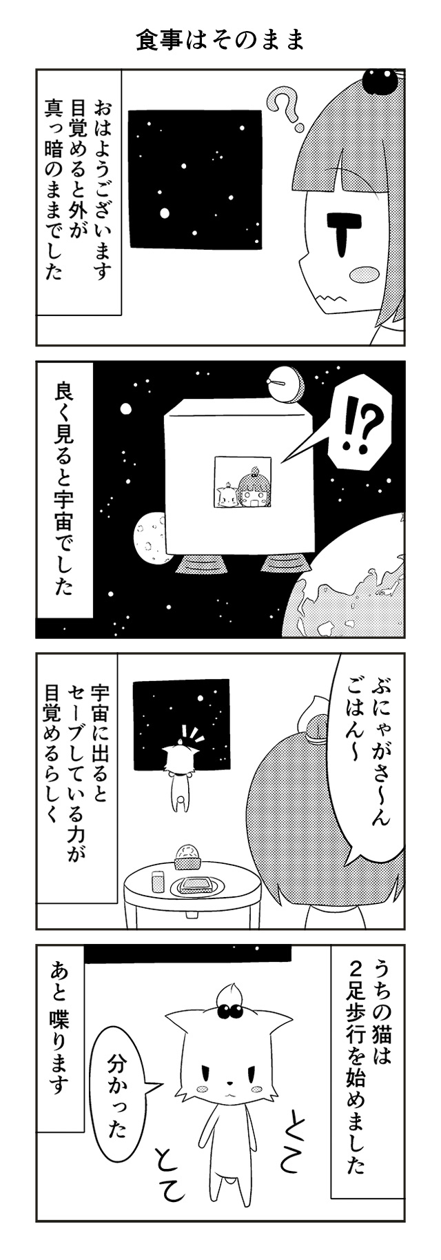 作品No.0004「そらねこのぶにゃがさん」しろまる