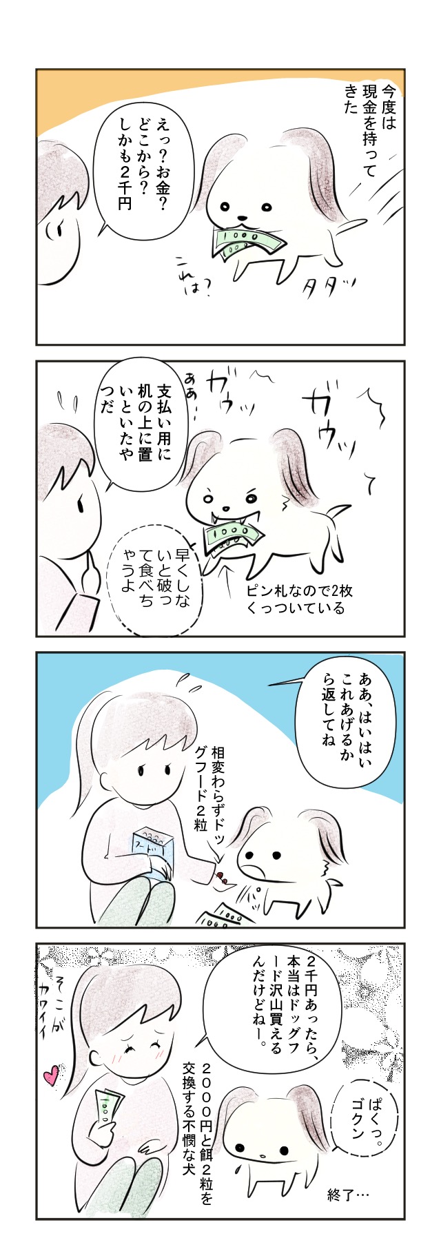 愛犬日記