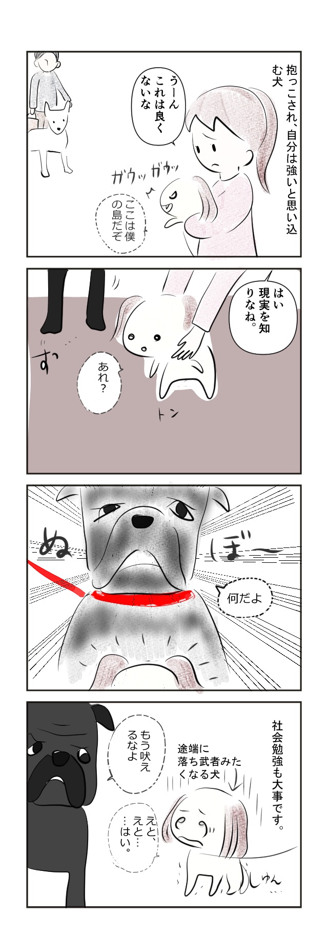 愛犬日記