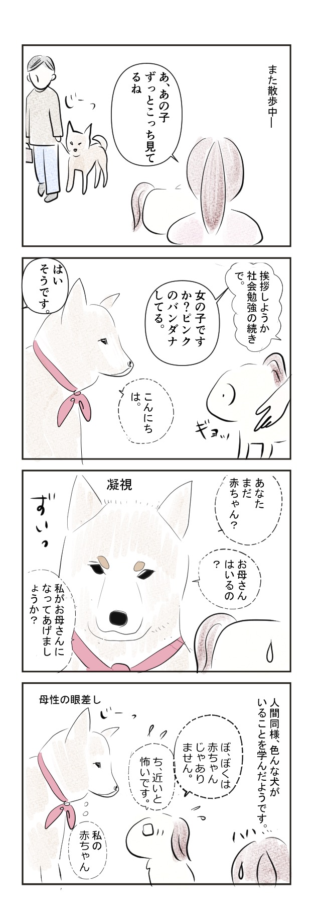 愛犬日記