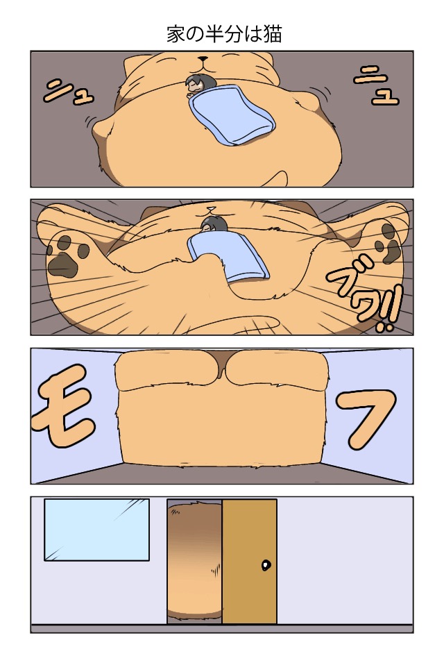 部屋の半分は猫