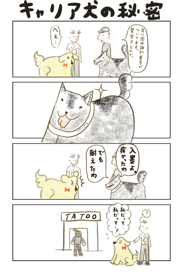 名犬りぼんちゃん