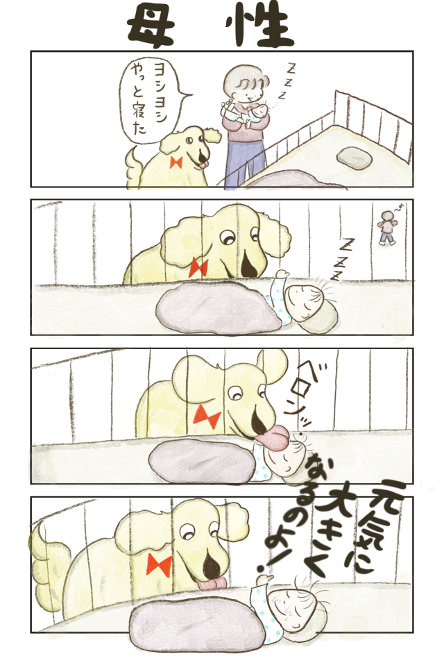 名犬りぼんちゃん