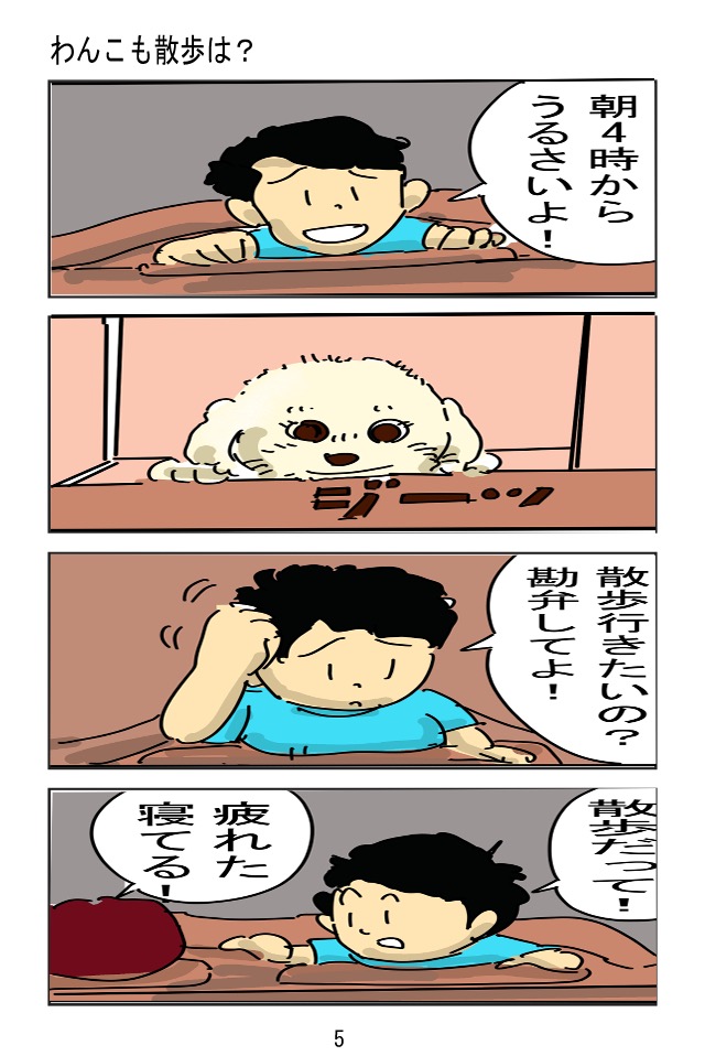 中国くたくた滞在記