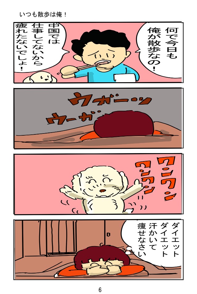 中国くたくた滞在記